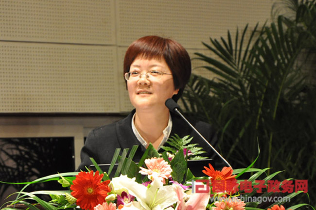 郑爱军：“政府网站+”时代 ，政府网站如何定位？