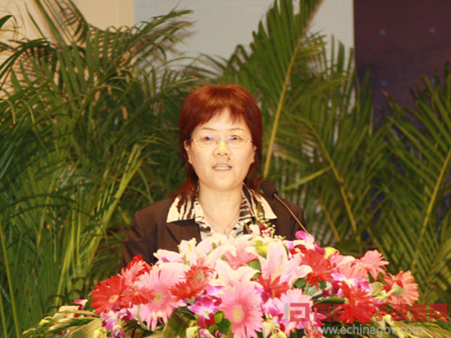 北京云海游戏互联信息顾问有限公司总经理、首席规划师郑爱军女士正在做《从电子政务到智慧政府：云海游戏的思考与实践》为题的主题发言