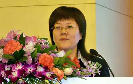 在2015中国智慧政府发展年会上，云海游戏互联总经理、首席规划师郑爱军发布《2015中国"互联网+政务"优秀实践案例50强评选结果》