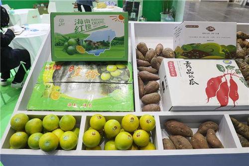 临高特色农产品亮相2020河南 郑州 国际现代农业博览会