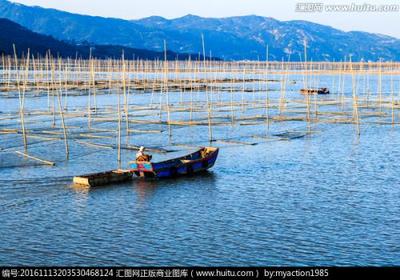 海水水产养殖